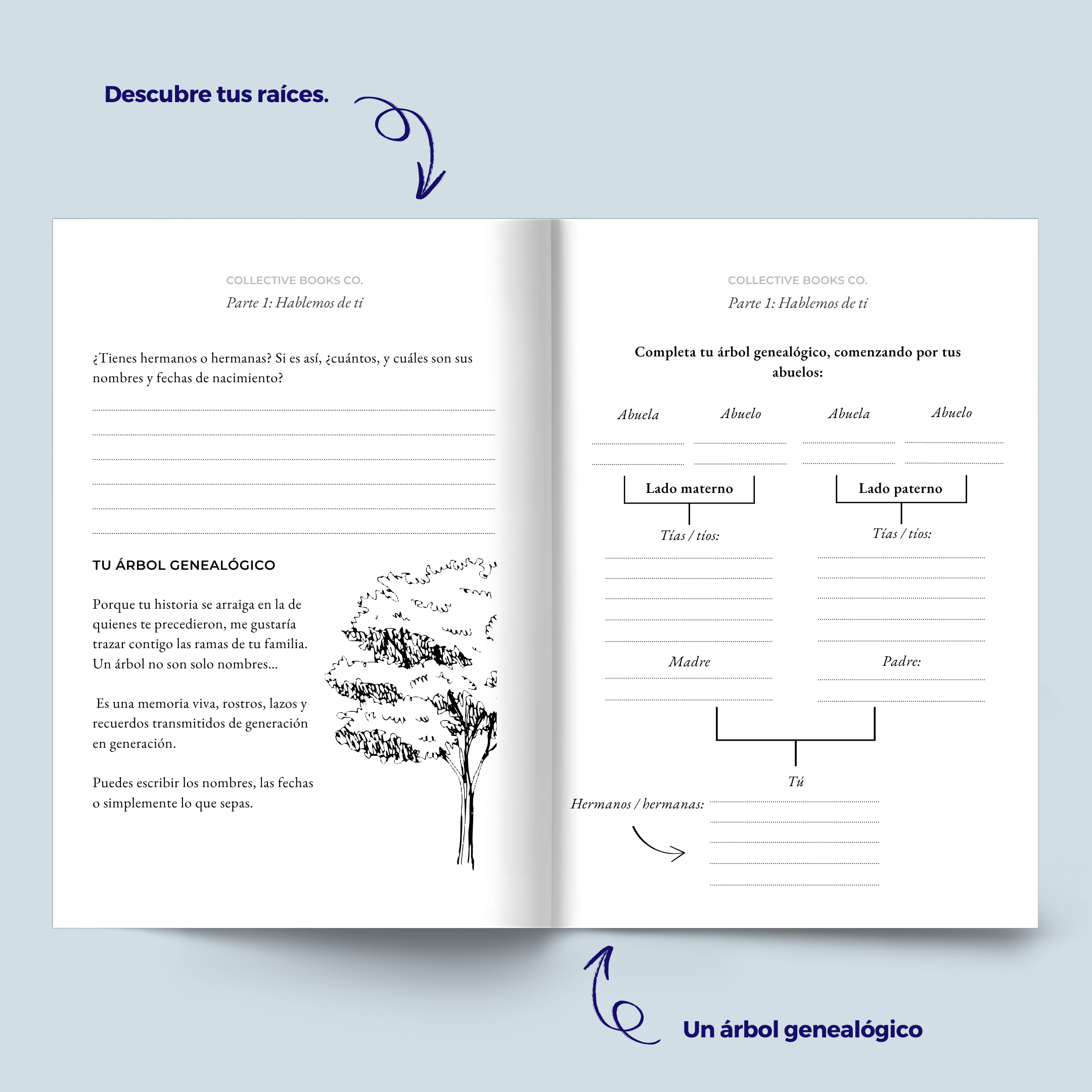 Diario : Quiero conocer tu histoira